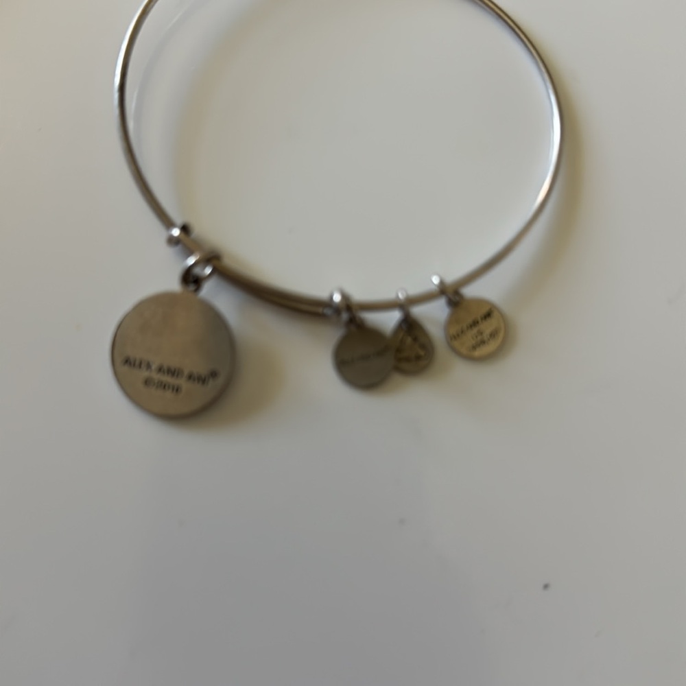 Alex & Ani NYC Charm - Picture 5 of 6